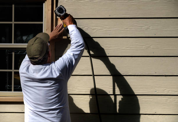Best Siding Removal and Disposal  in Petersburg, IL