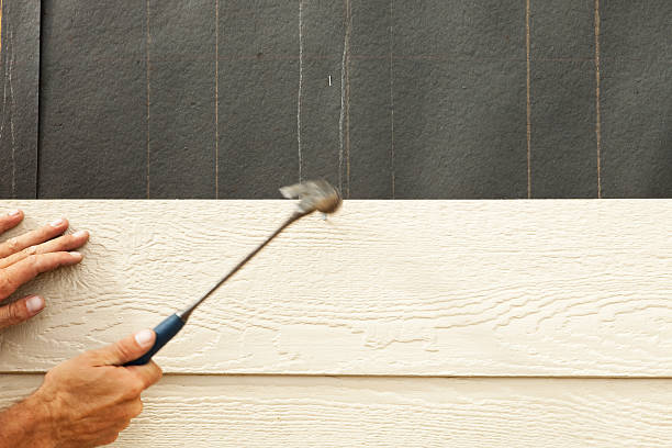 Best Engineered Wood Siding  in Petersburg, IL